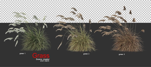 PSD various types of grass