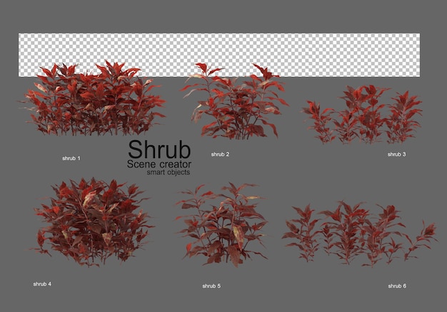various types of bushes for landscaping