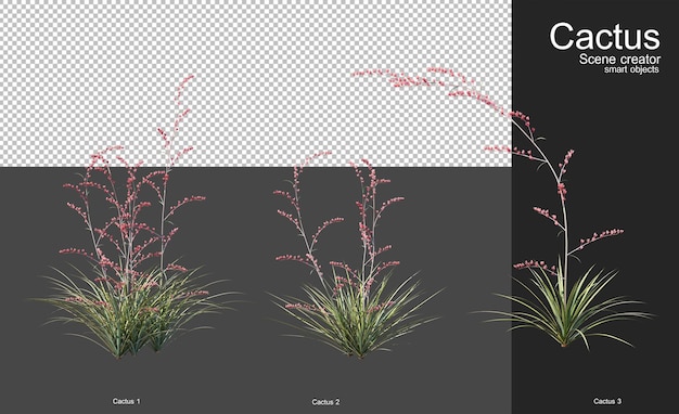 PSD 庭の装飾用のさまざまな種類のサボテン