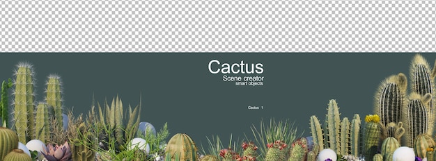 PSD さまざまな種類のサボテンガーデン