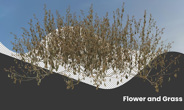 PSD 乾燥した植物の種類 草 灌木 灌木 小さな植物