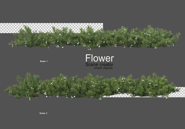 さまざまな種類の花さまざまなスタイル