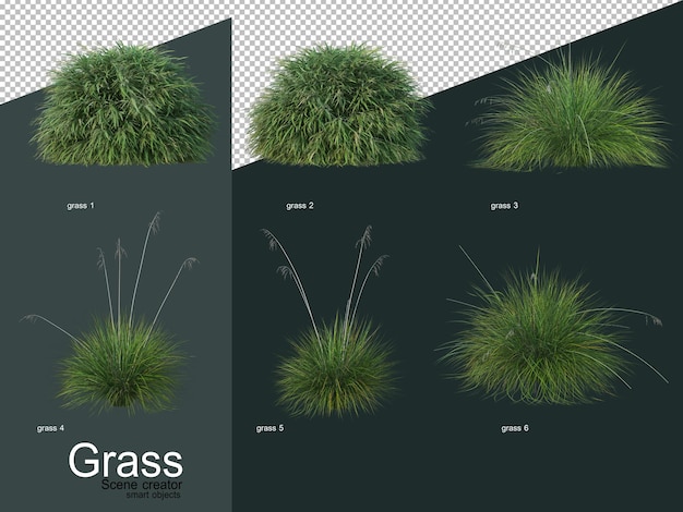 PSD さまざまな種類の草の3dレンダリング