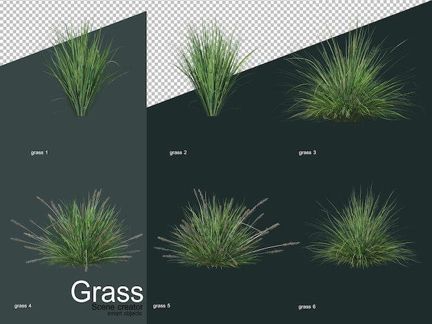 PSD さまざまな種類の草の3dレンダリング