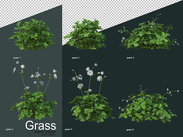 PSD さまざまな種類の草の3dレンダリング