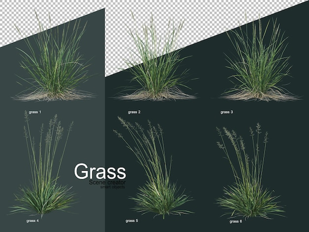 さまざまな種類の草の3dレンダリング