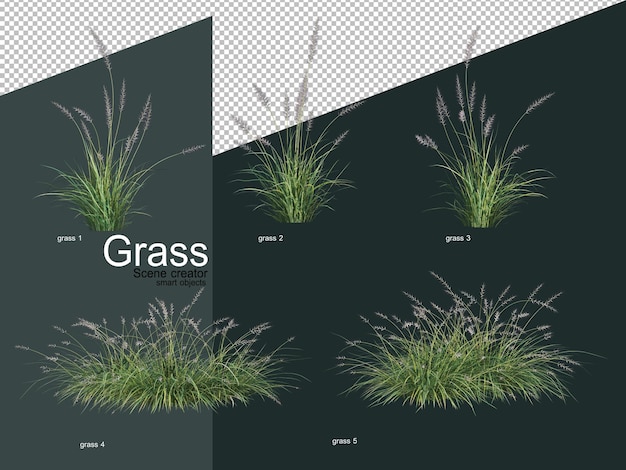 다양한 유형의 잔디 3d 렌더링