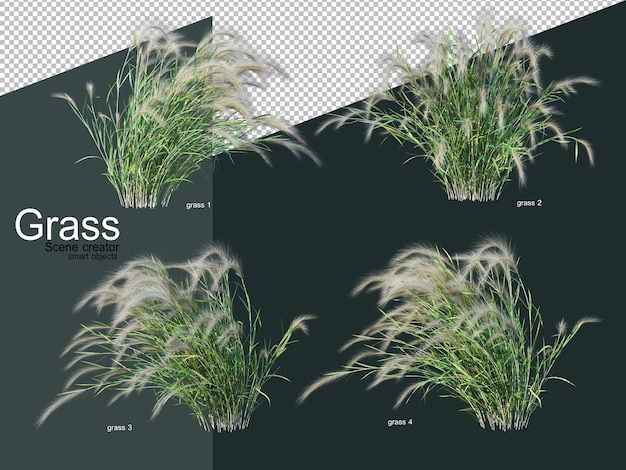 さまざまな種類の草の3dレンダリング