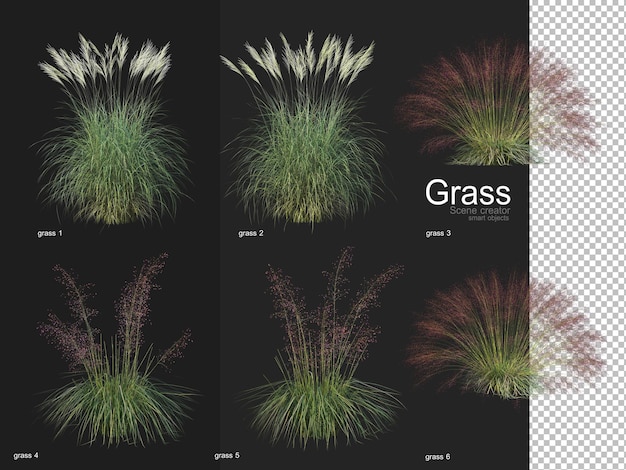 PSD さまざまな種類の草のレンダリング