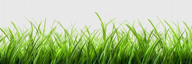PSD さまざまな種類の芝生がソレートされています