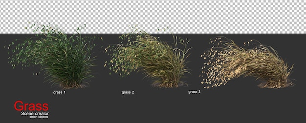 PSD Различные виды травы