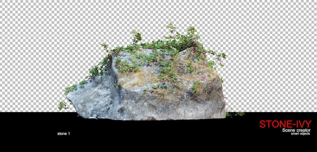 Various types of rocks and creepers