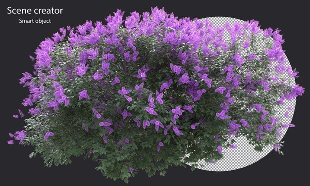 Various types of tree plants bushes shrub and and small plants isolated rendering
