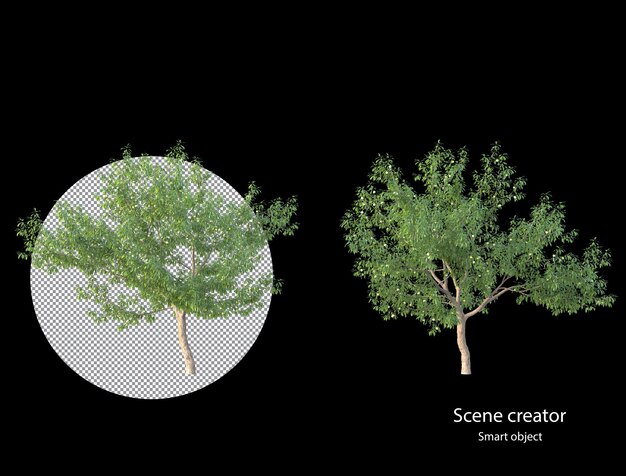 PSD さまざまな種類の木の植物の茂みの低木と小さな植物の分離レンダリング