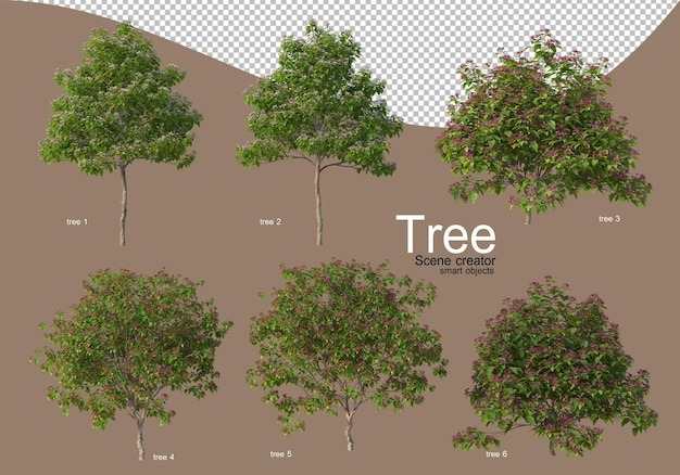 PSD 美しい造園のための様々な種類の木