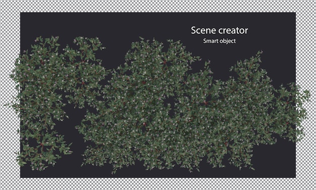 PSD さまざまな種類の木の小さな植物の茂み低木と花の分離レンダリング