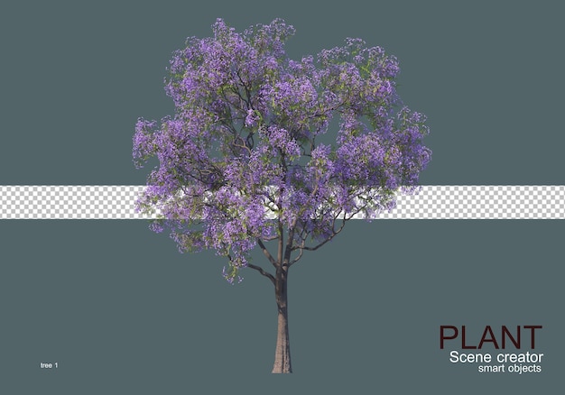 さまざまな種類の木