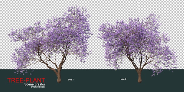various types of trees