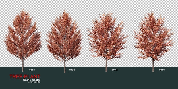 Различные виды деревьев
