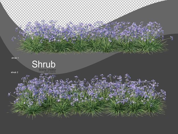 Various types of shrubs