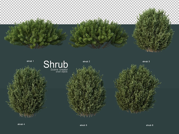 PSD various types of shrubs