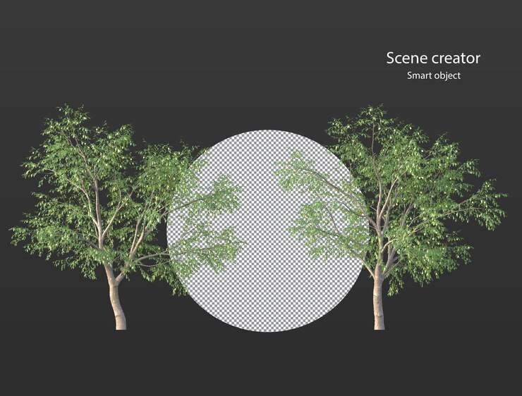 PSD various types of tree branch plants bushes shrub and and small plants isolated rendering