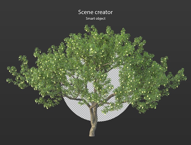 PSD various types of tree branch plants bushes shrub and and small plants isolated rendering