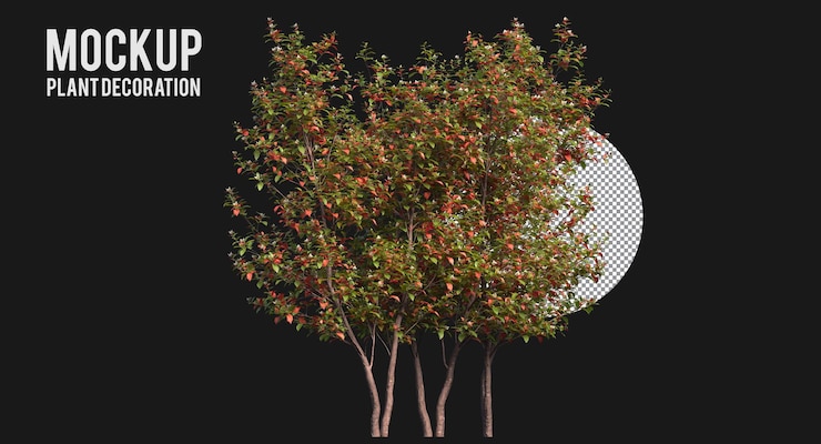 PSD various types of tree branch, plants and small trees isolated orange and green leaf plant