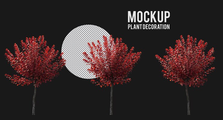 PSD various types of tree plants branches and small plants isolated