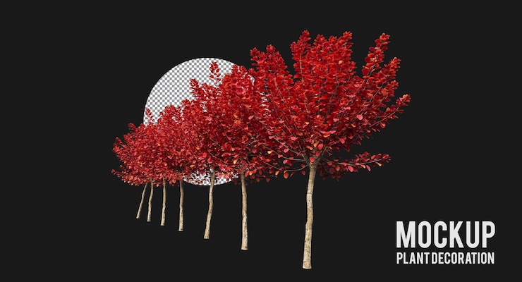 PSD various types of tree plants branches and small plants isolated