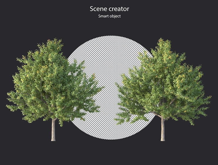 PSD various types of tree plants bushes shrub and and small plants isolated rendering