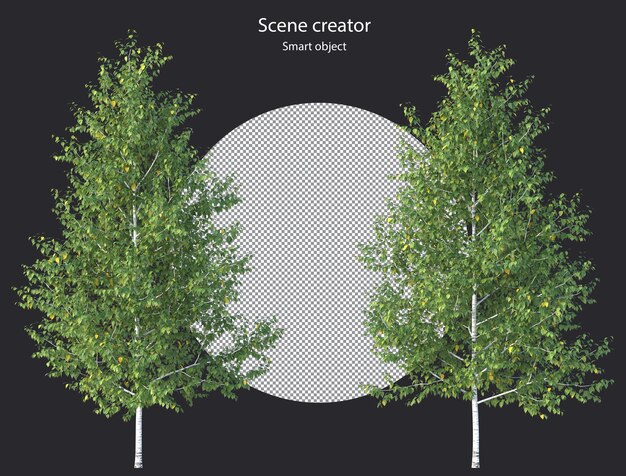 PSD vari tipi di piante arboree cespugli arbusti e piccole piante isolate rendering