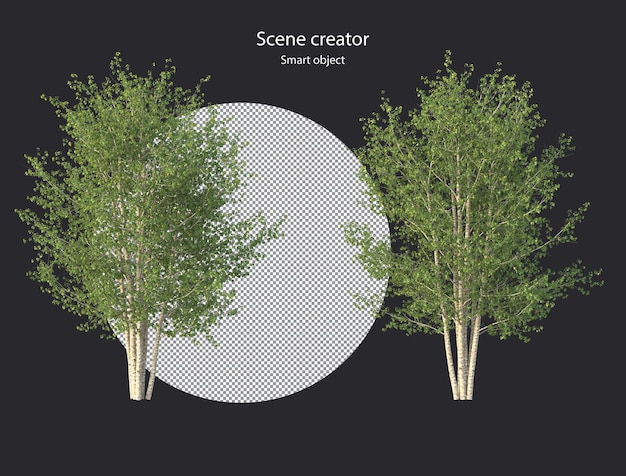 Vari tipi di piante arboree cespugli arbusti e piccole piante isolate rendering