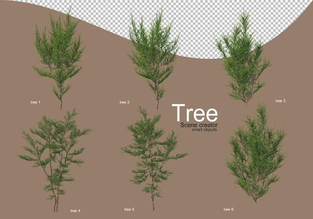 PSD various types of trees for beautiful landscaping