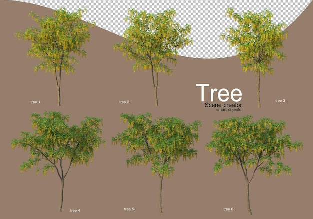 PSD various types of trees for beautiful landscaping