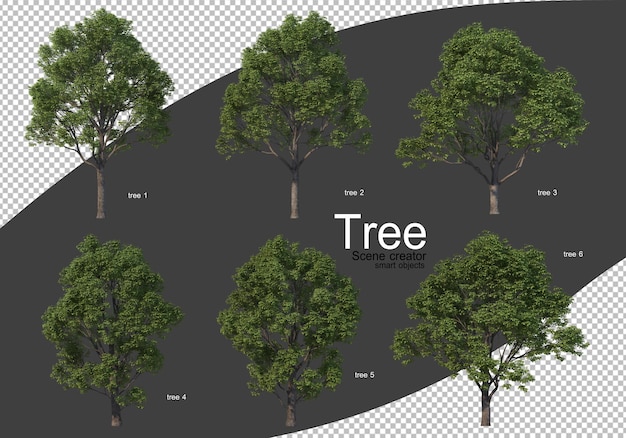 Various types of trees rendering isolated