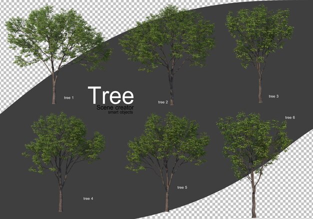 Various types of trees rendering isolated