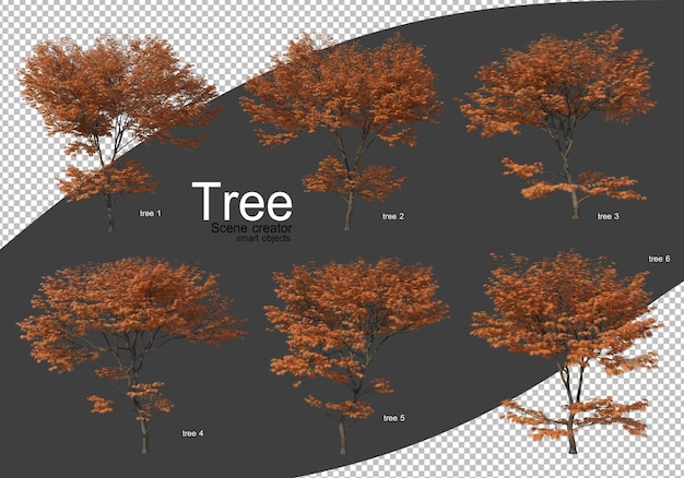 Various types of trees rendering isolated