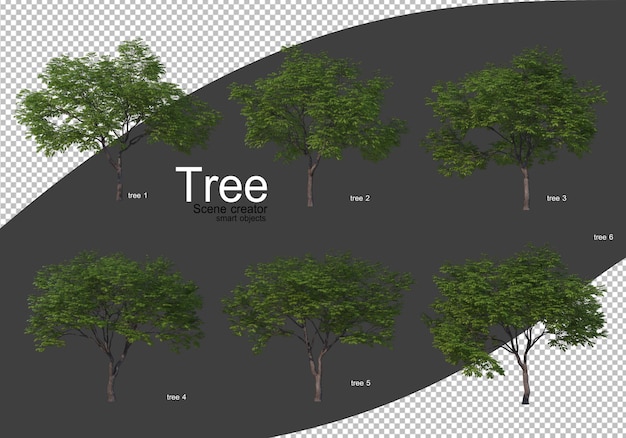 Vari tipi di rendering di alberi isolati