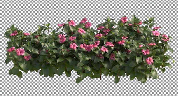 PSD various types of trees small plants bushes shrub and flowers isolated