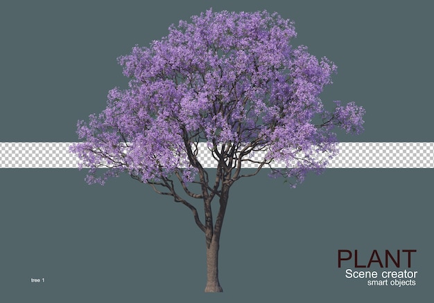 PSD various types of trees