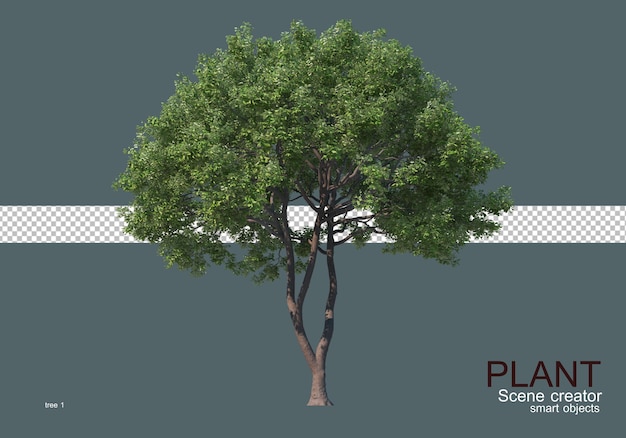 PSD various types of trees