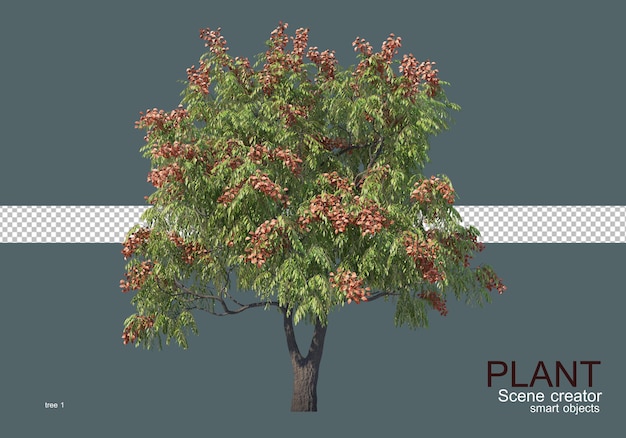 PSD various types of trees