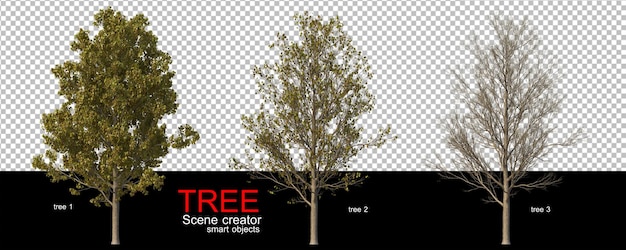 Various types of trees