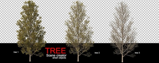 Various types of trees