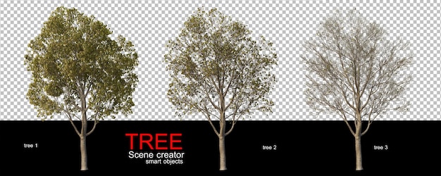 Various types of trees