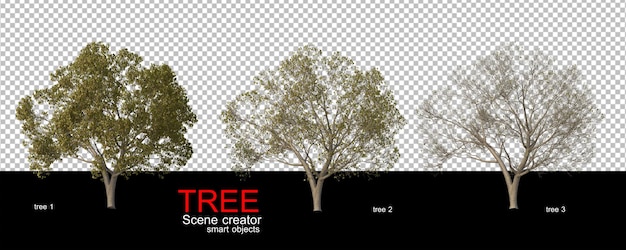 PSD various types of trees