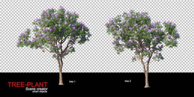 PSD various types of trees