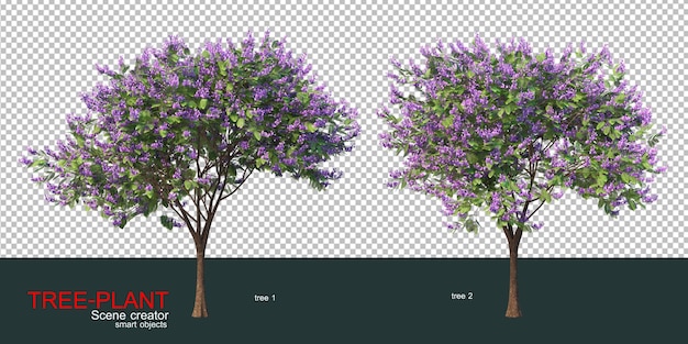 PSD various types of trees