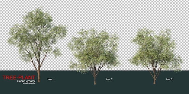 Various types of trees